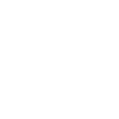 Conseil social Metz, Nancy