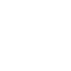 Conseil social Metz, Nancy